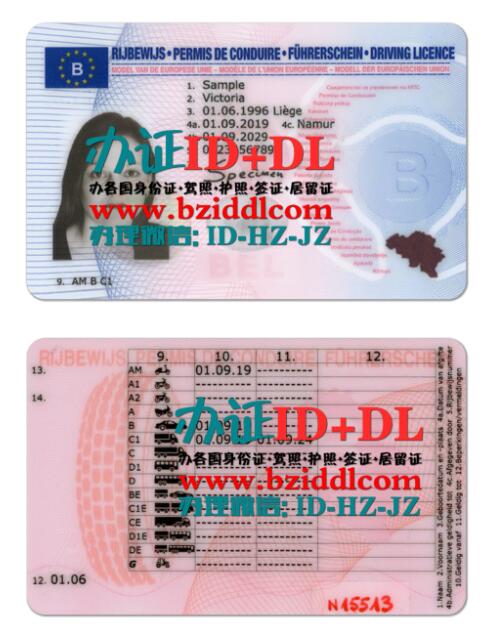 办比利时2019年驾照PSD模板,Belgium 2019 Drivers License PSD Template