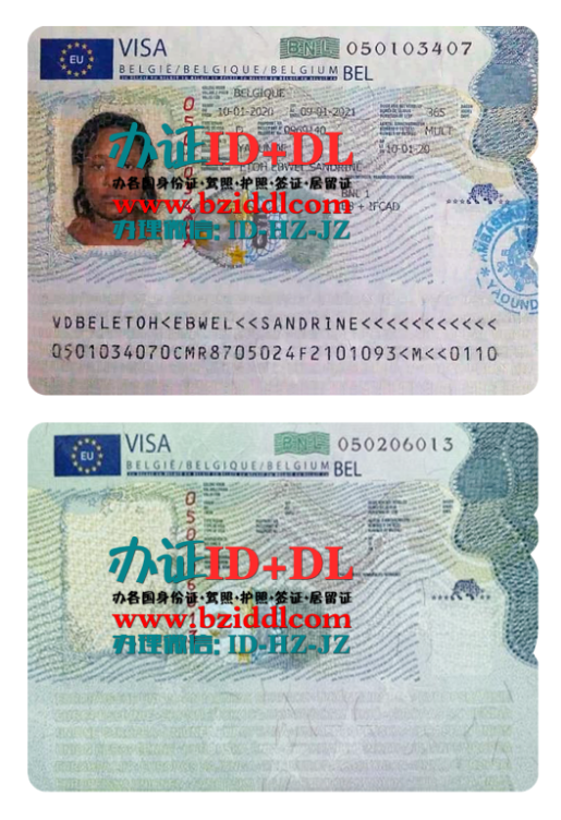 比利时签证PSD模板,Belgium Visa PSD Template