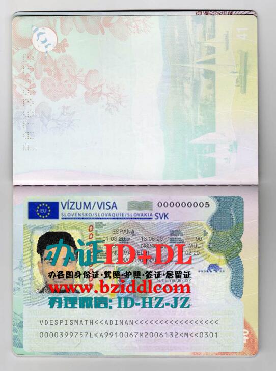 办斯洛伐克签证,Slovak Republic Visa,办斯洛伐克申根签证,Slovak Schengen visa